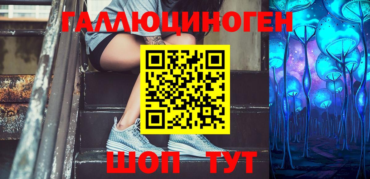 Галлюциногенные грибы GOLDEN TEACHER  Вход с VPN  Севастополь  Галлюциногенные грибы Psilocybine cubensis 